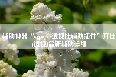 辅助神器“agpoker透视挂辅助插件”开挂(透视)最新辅助详细
