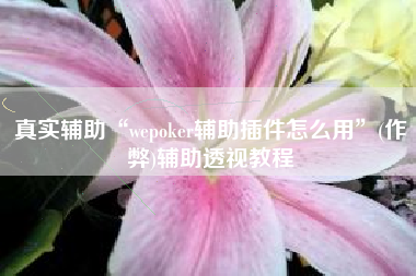 真实辅助“wepoker辅助插件怎么用”(作弊)辅助透视教程
