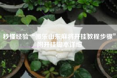 秒懂经验“微乐山东麻将开挂教程步骤	”附开挂脚本详细