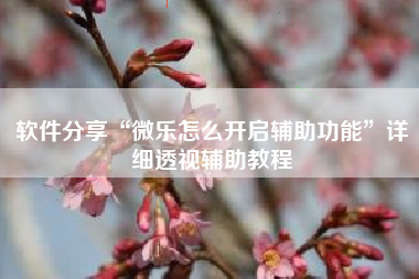 软件分享“微乐怎么开启辅助功能”详细透视辅助教程