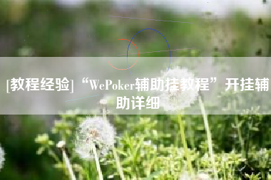 [教程经验]“WePoker辅助挂教程	”开挂辅助详细