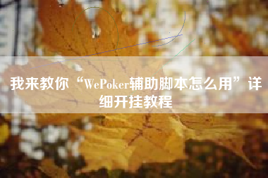 我来教你“WePoker辅助脚本怎么用”详细开挂教程