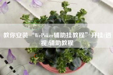 教你安装“WePoker辅助挂教程	”开挂(透视)辅助教程