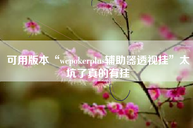 可用版本“wepokerplus辅助器透视挂”太坑了真的有挂