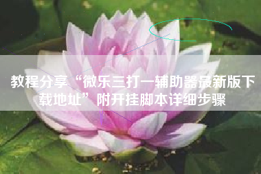 教程分享“微乐三打一辅助器最新版下载地址	”附开挂脚本详细步骤