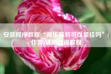 安装程序教程“微乐麻将可以装挂吗”(作弊)辅助透视教程