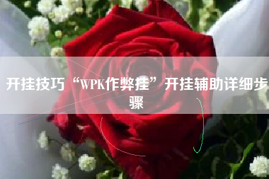 开挂技巧“WPK作弊挂”开挂辅助详细步骤