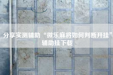 分享实测辅助“微乐麻将如何判断开挂”辅助挂下载