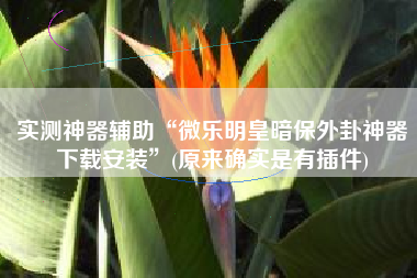 实测神器辅助“微乐明皇暗保外卦神器下载安装”(原来确实是有插件)