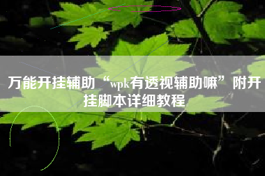 万能开挂辅助“wpk有透视辅助嘛”附开挂脚本详细教程