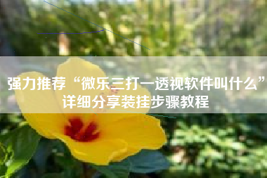 强力推荐“微乐三打一透视软件叫什么”详细分享装挂步骤教程