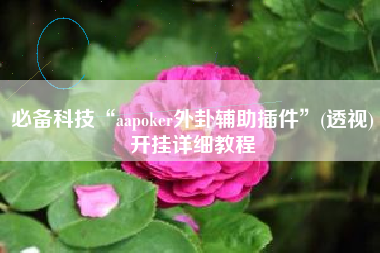 必备科技“aapoker外卦辅助插件”(透视)开挂详细教程