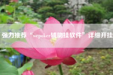 强力推荐“wepoker辅助挂软件”详细开挂
