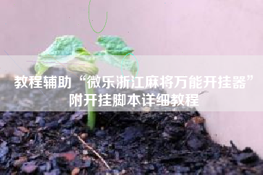 教程辅助“微乐浙江麻将万能开挂器	”附开挂脚本详细教程