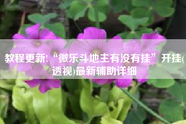 教程更新!“微乐斗地主有没有挂	”开挂(透视)最新辅助详细