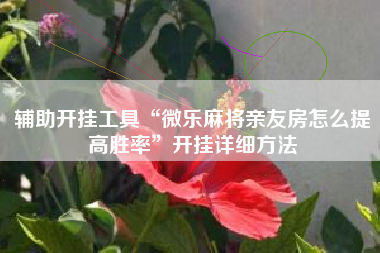 辅助开挂工具“微乐麻将亲友房怎么提高胜率”开挂详细方法