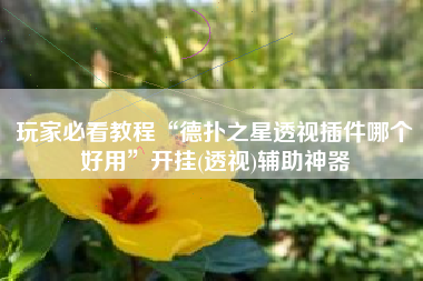 玩家必看教程“德扑之星透视插件哪个好用”开挂(透视)辅助神器