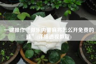 一键操作“微乐内蒙麻将怎么开免费的挂”(详细透视教程)