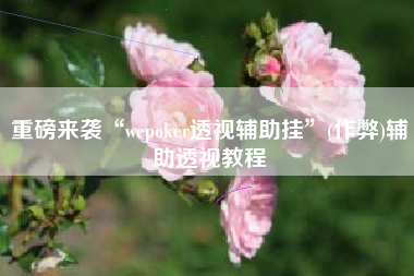重磅来袭“wepoker透视辅助挂”(作弊)辅助透视教程