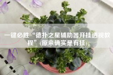 一键必胜“德扑之星辅助器开挂透视教程”(原来确实是有挂)