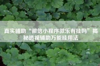 真实辅助“微信小程序微乐有挂吗	”揭秘透视辅助万能挂用法