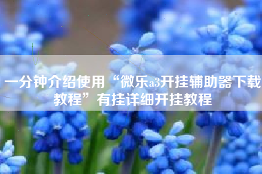 一分钟介绍使用“微乐a3开挂辅助器下载教程”有挂详细开挂教程