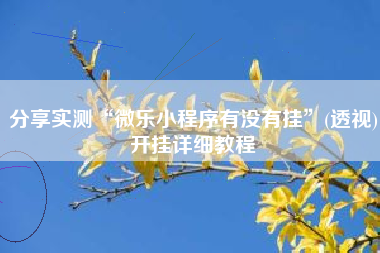 分享实测“微乐小程序有没有挂”(透视)开挂详细教程