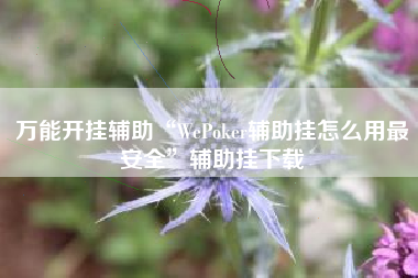 万能开挂辅助“WePoker辅助挂怎么用最安全”辅助挂下载