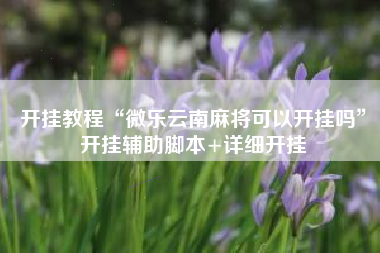 开挂教程“微乐云南麻将可以开挂吗	”开挂辅助脚本+详细开挂