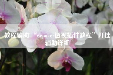 教程辅助!“wepoker透视插件教程”开挂辅助详细