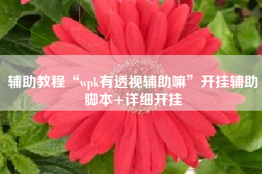 辅助教程“wpk有透视辅助嘛”开挂辅助脚本+详细开挂
