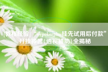 [教程经验]“wepokerplus挂先试用后付款	”开挂神器{透视辅助}全揭秘