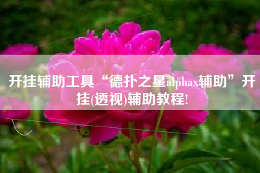 开挂辅助工具“德扑之星alphax辅助	”开挂(透视)辅助教程!