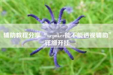 辅助教程分享“wepoker能不能透视辅助	”详细开挂