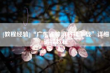 [教程经验]“广东雀神麻将挂下载”详细透视教程