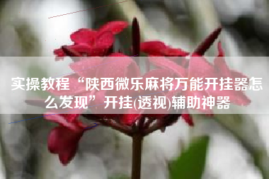 实操教程“陕西微乐麻将万能开挂器怎么发现”开挂(透视)辅助神器