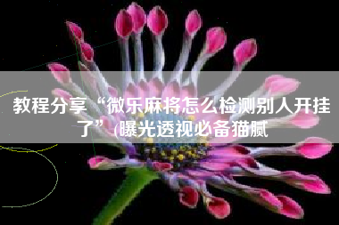 教程分享“微乐麻将怎么检测别人开挂了”(曝光透视必备猫腻