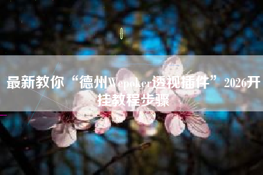 最新教你“德州Wepoker透视插件”2026开挂教程步骤