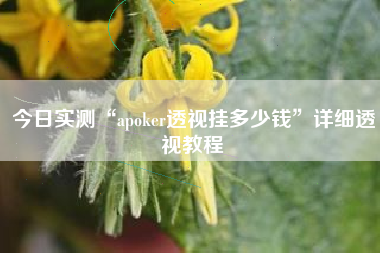 今日实测“apoker透视挂多少钱”详细透视教程