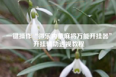 一键操作“微乐内蒙麻将万能开挂器”开挂辅助透视教程