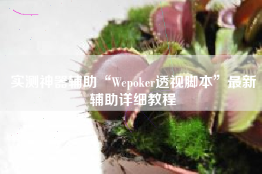 实测神器辅助“Wepoker透视脚本	”最新辅助详细教程