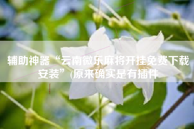 辅助神器“云南微乐麻将开挂免费下载安装”(原来确实是有插件