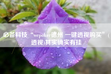 必备科技“wepoker德州 一键透视购买	”(透视)其实确实有挂