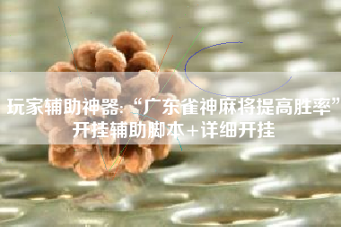 玩家辅助神器:“广东雀神麻将提高胜率”开挂辅助脚本+详细开挂