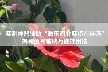 实测神器辅助“微乐河北麻将有挂吗	”揭秘透视辅助万能挂用法