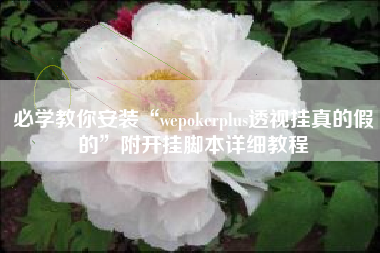 必学教你安装“wepokerplus透视挂真的假的”附开挂脚本详细教程
