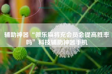 辅助神器“微乐麻将充会员会提高胜率吗	”科技辅助神器手机