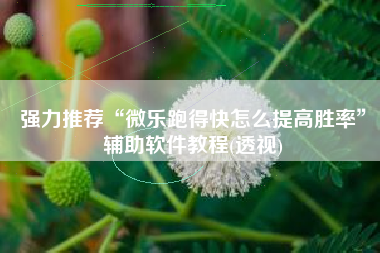 强力推荐“微乐跑得快怎么提高胜率”辅助软件教程(透视)