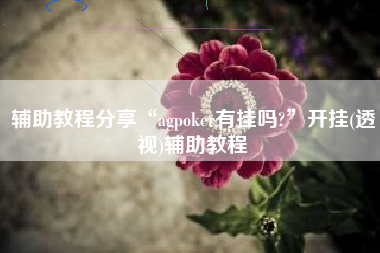 辅助教程分享“agpoker有挂吗?”开挂(透视)辅助教程