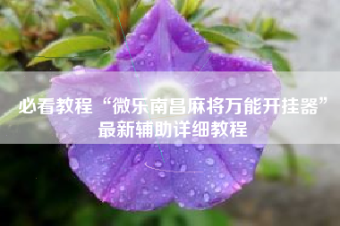 必看教程“微乐南昌麻将万能开挂器	”最新辅助详细教程